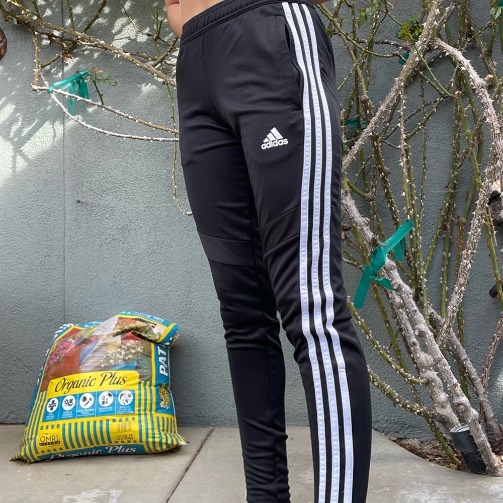 adidas jogger track pants